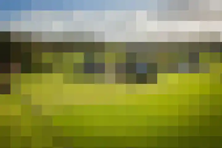 Eikelhofweg 21 Olst thumbnail 43