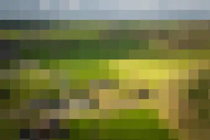 Eikelhofweg 21 Olst thumbnail 47