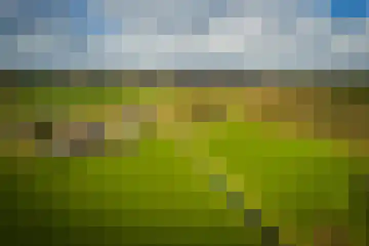 Eikelhofweg 21 Olst thumbnail 48