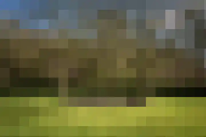 Eikelhofweg 21 Olst thumbnail 6