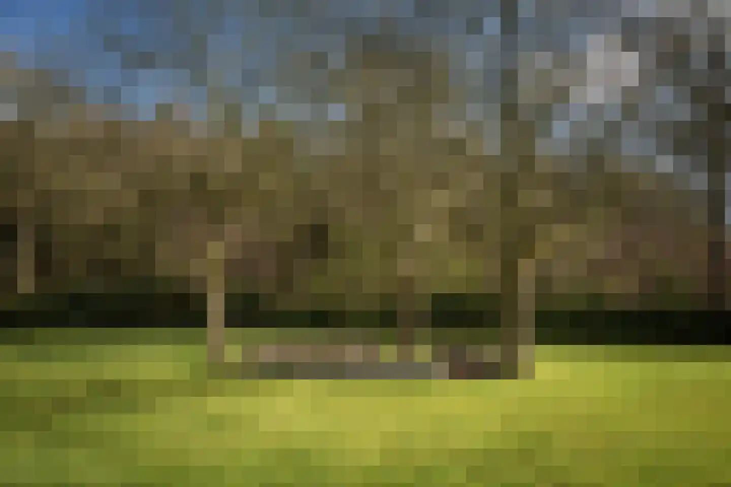 Eikelhofweg 21 Olst thumbnail 6