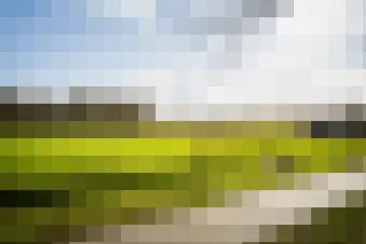 Eikelhofweg 21 Olst thumbnail 67