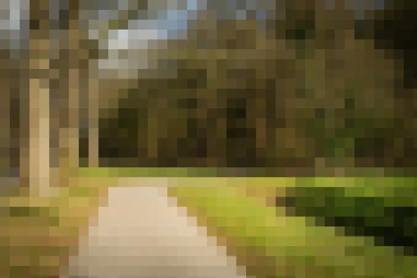 Eikelhofweg 21 Olst thumbnail 68