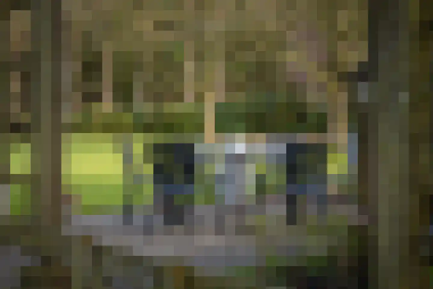 Eikelhofweg 21 Olst thumbnail 7