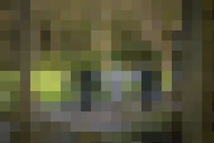 Eikelhofweg 21 Olst thumbnail 7
