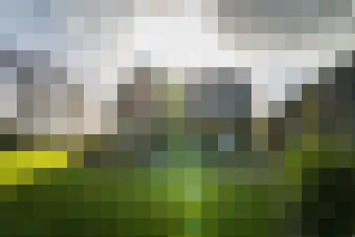 Eikelhofweg 21 Olst thumbnail 71
