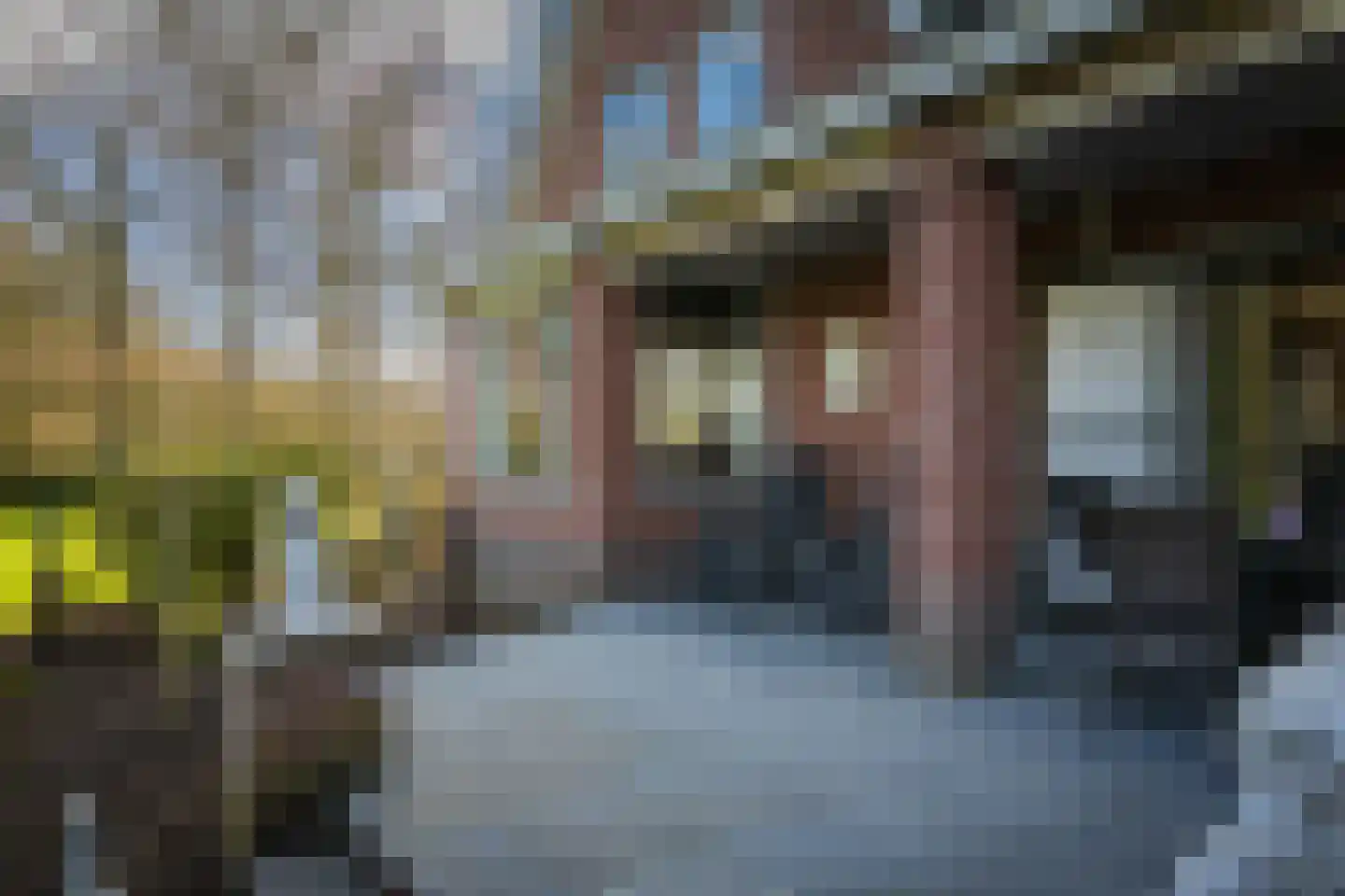 Eikelhofweg 21 Olst thumbnail 73