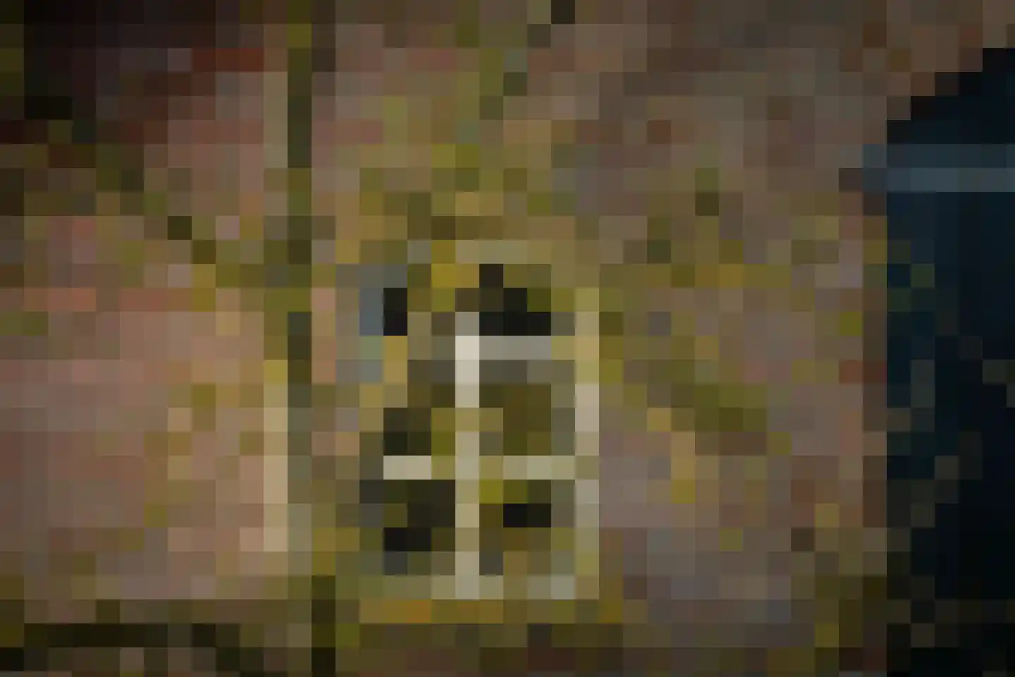 Eikelhofweg 21 Olst thumbnail 74