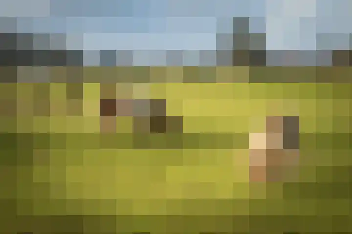 Eikelhofweg 21 Olst thumbnail 76