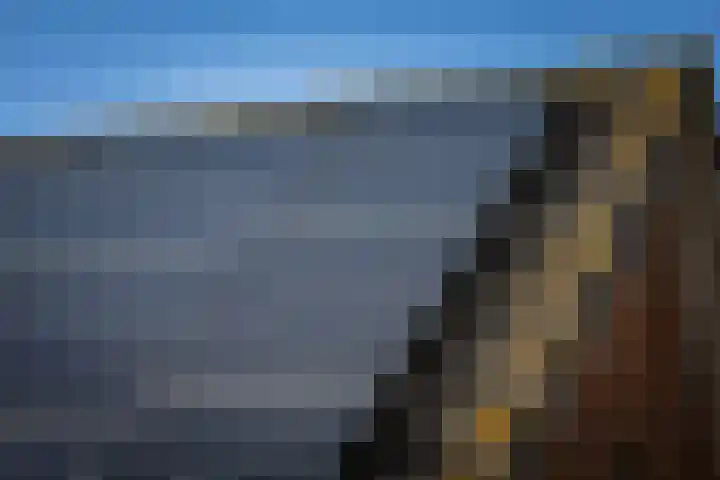 Eikelhofweg 21 Olst thumbnail 77