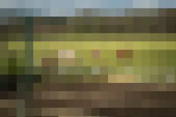 Eikelhofweg 21 Olst thumbnail 9