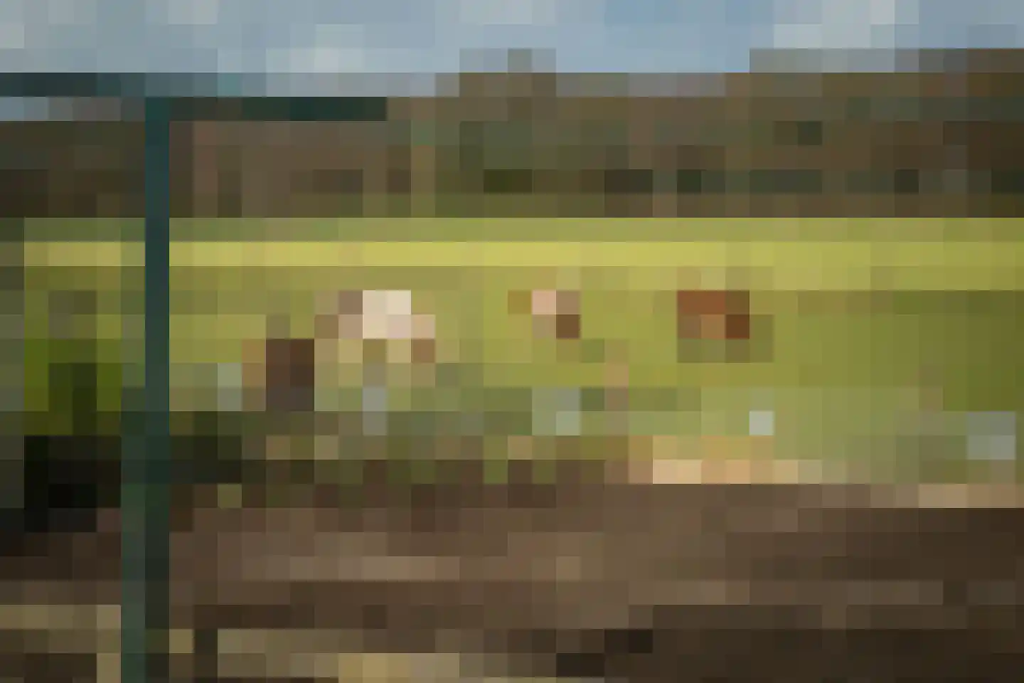 Eikelhofweg 21 Olst thumbnail 9