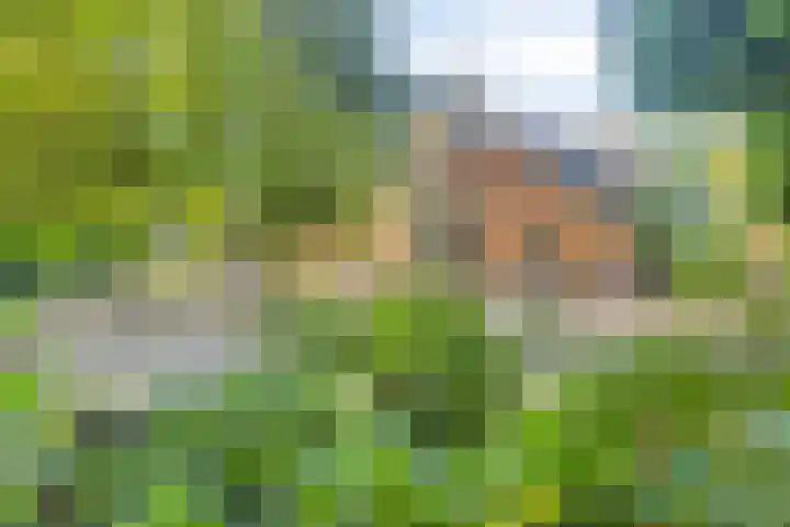 Eikelhofweg 47 Olst thumbnail 10