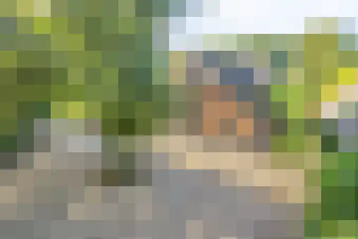Eikelhofweg 47 Olst thumbnail 11