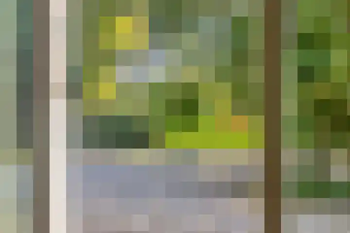 Eikelhofweg 47 Olst thumbnail 16