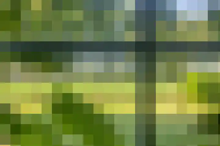 Eikelhofweg 47 Olst thumbnail 24