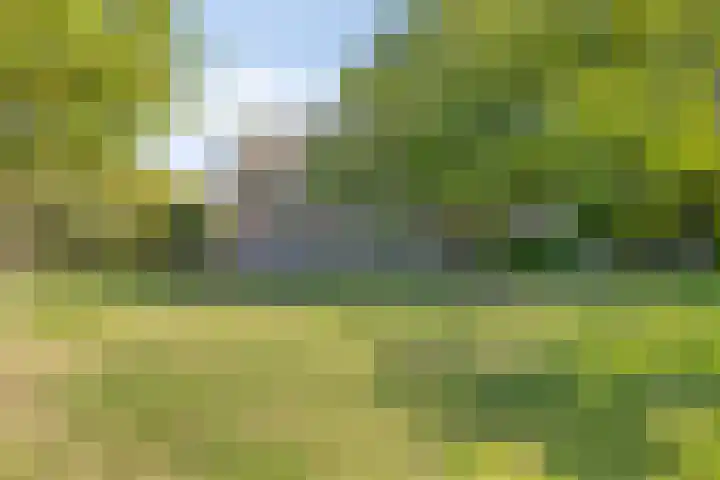 Eikelhofweg 47 Olst thumbnail 4