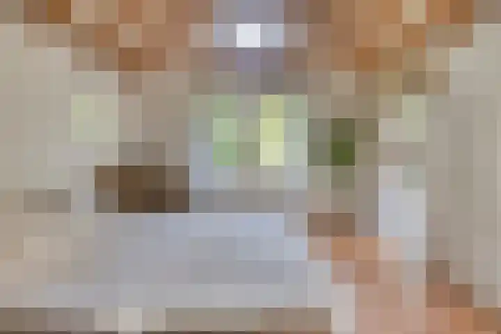 Eikelhofweg 47 Olst thumbnail 42