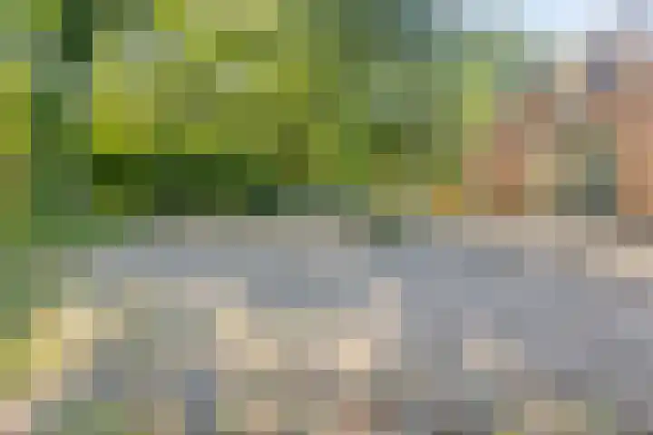 Eikelhofweg 47 Olst thumbnail 45