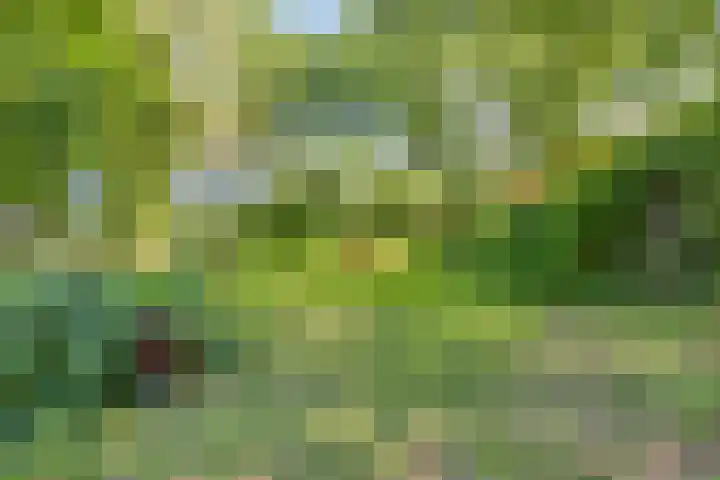Eikelhofweg 47 Olst thumbnail 46