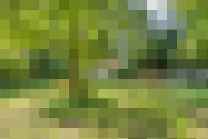 Eikelhofweg 47 Olst thumbnail 47