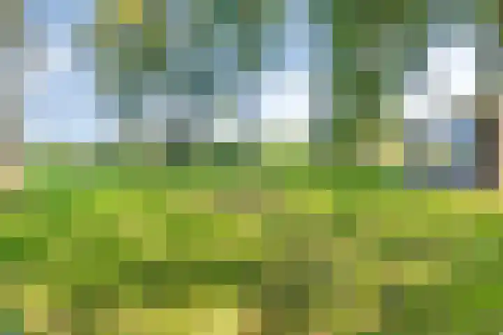 Eikelhofweg 47 Olst thumbnail 48