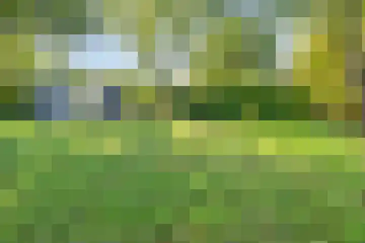 Eikelhofweg 47 Olst thumbnail 49