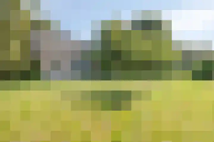 Eikelhofweg 47 Olst thumbnail 5