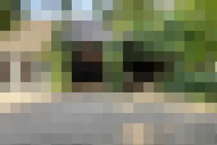 Eikelhofweg 47 Olst thumbnail 57