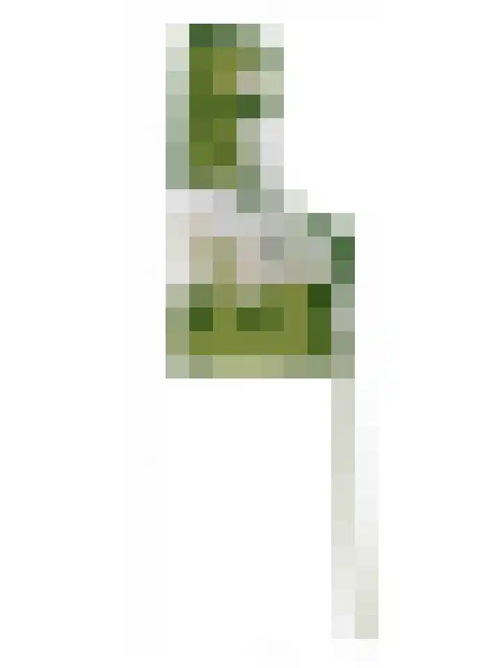 Eikelhofweg 47 Olst thumbnail 6