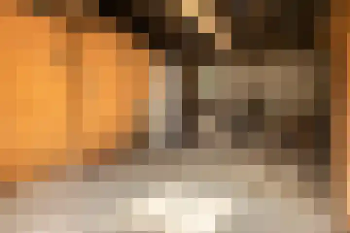 Eikelhofweg 47 Olst thumbnail 64