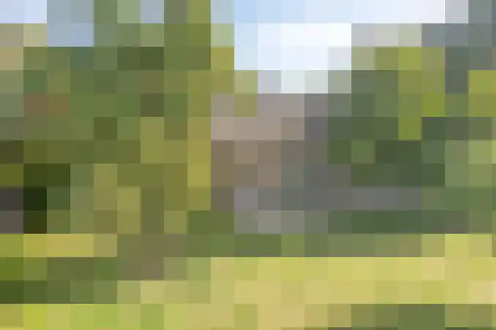 Eikelhofweg 47 Olst thumbnail 65