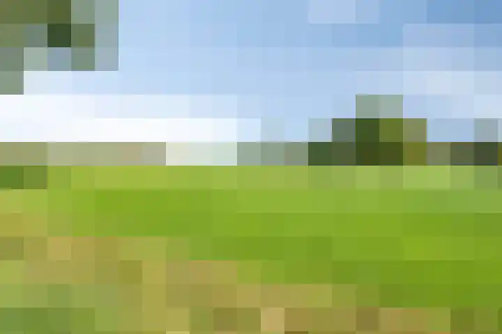 Eikelhofweg 47 Olst thumbnail 66