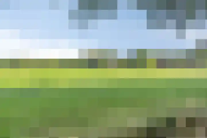 Eikelhofweg 47 Olst thumbnail 67