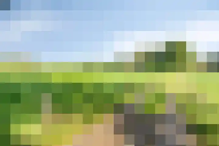 Eikelhofweg 47 Olst thumbnail 68