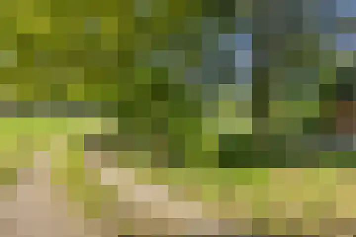 Eikelhofweg 47 Olst thumbnail 7