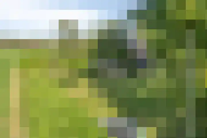Eikelhofweg 47 Olst thumbnail 8