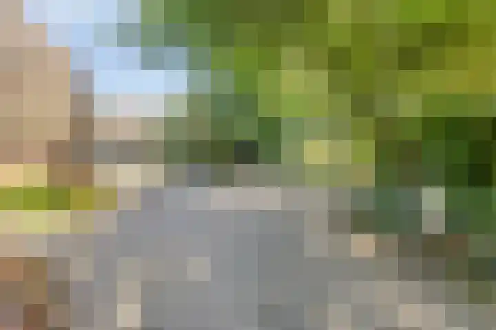 Eikelhofweg 47 Olst thumbnail 9