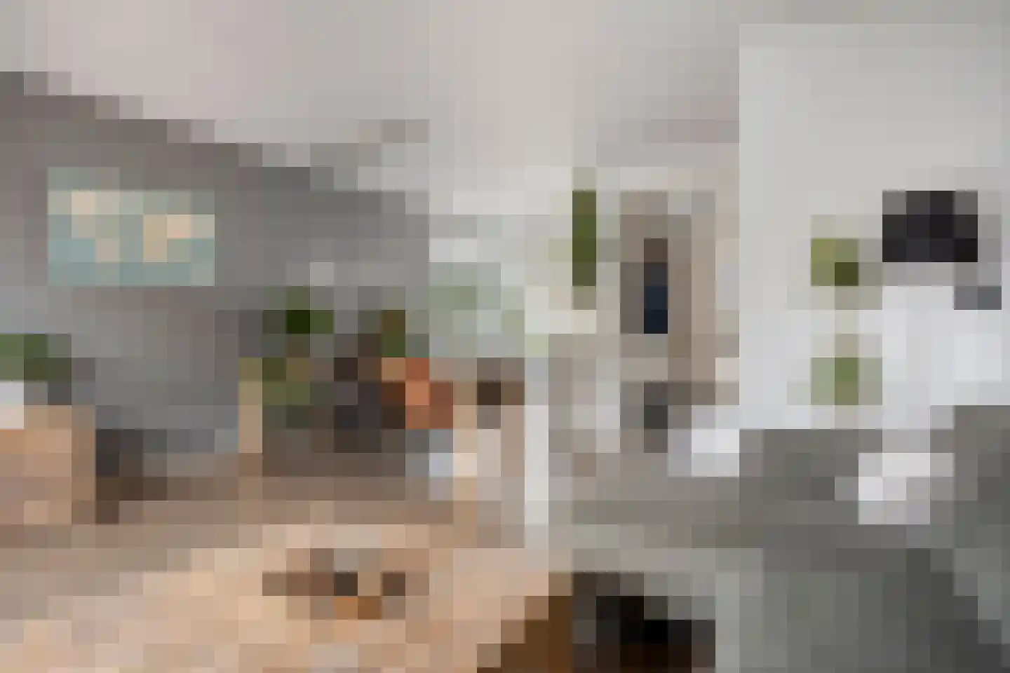 Eikelkamp 13 Hooglanderveen thumbnail 10