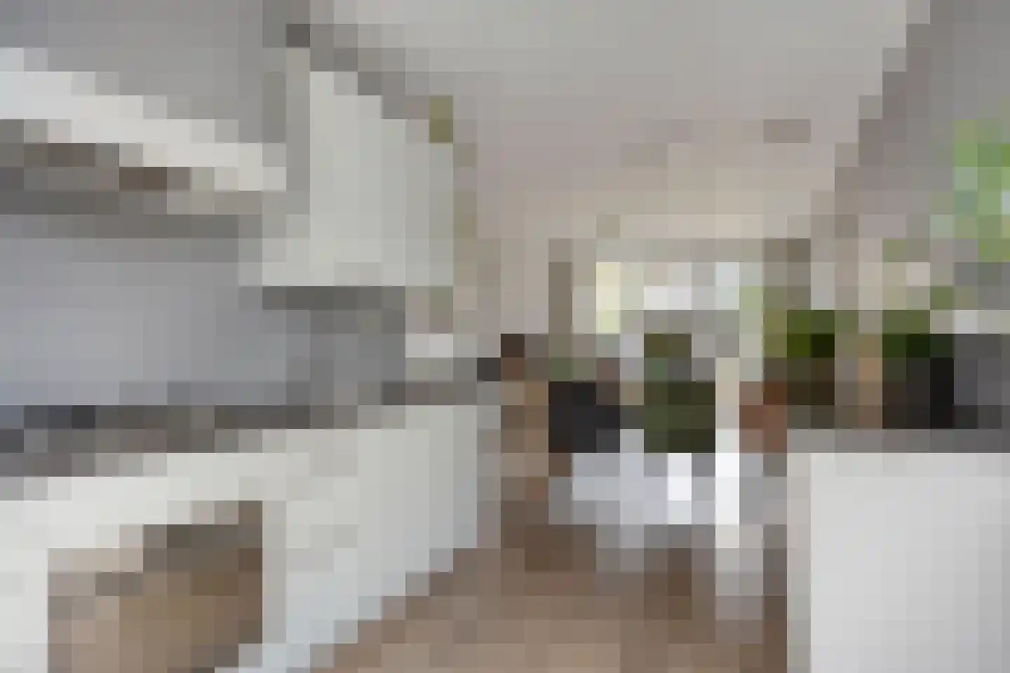 Eikelkamp 13 Hooglanderveen thumbnail 13