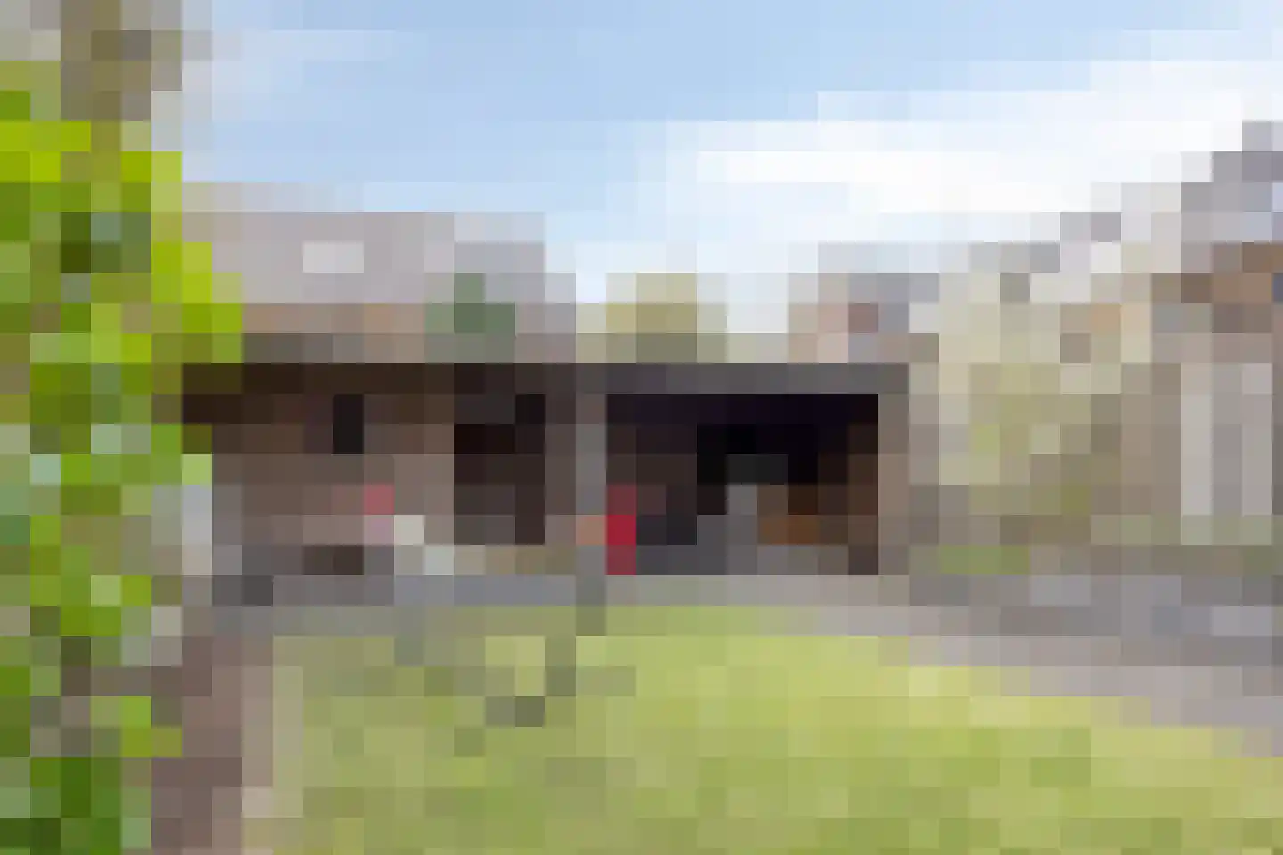 Eikelkamp 13 Hooglanderveen thumbnail 17