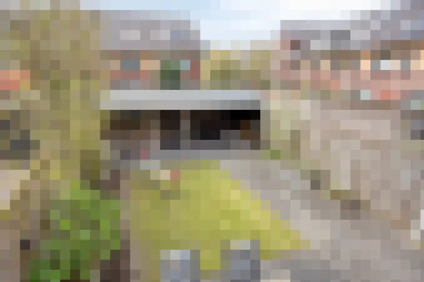 Eikelkamp 13 Hooglanderveen thumbnail 18
