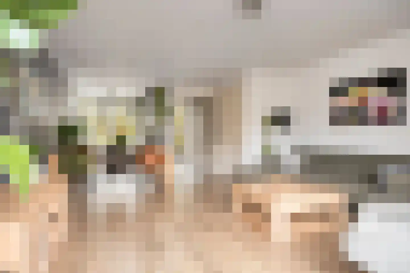 Eikelkamp 13 Hooglanderveen thumbnail 9