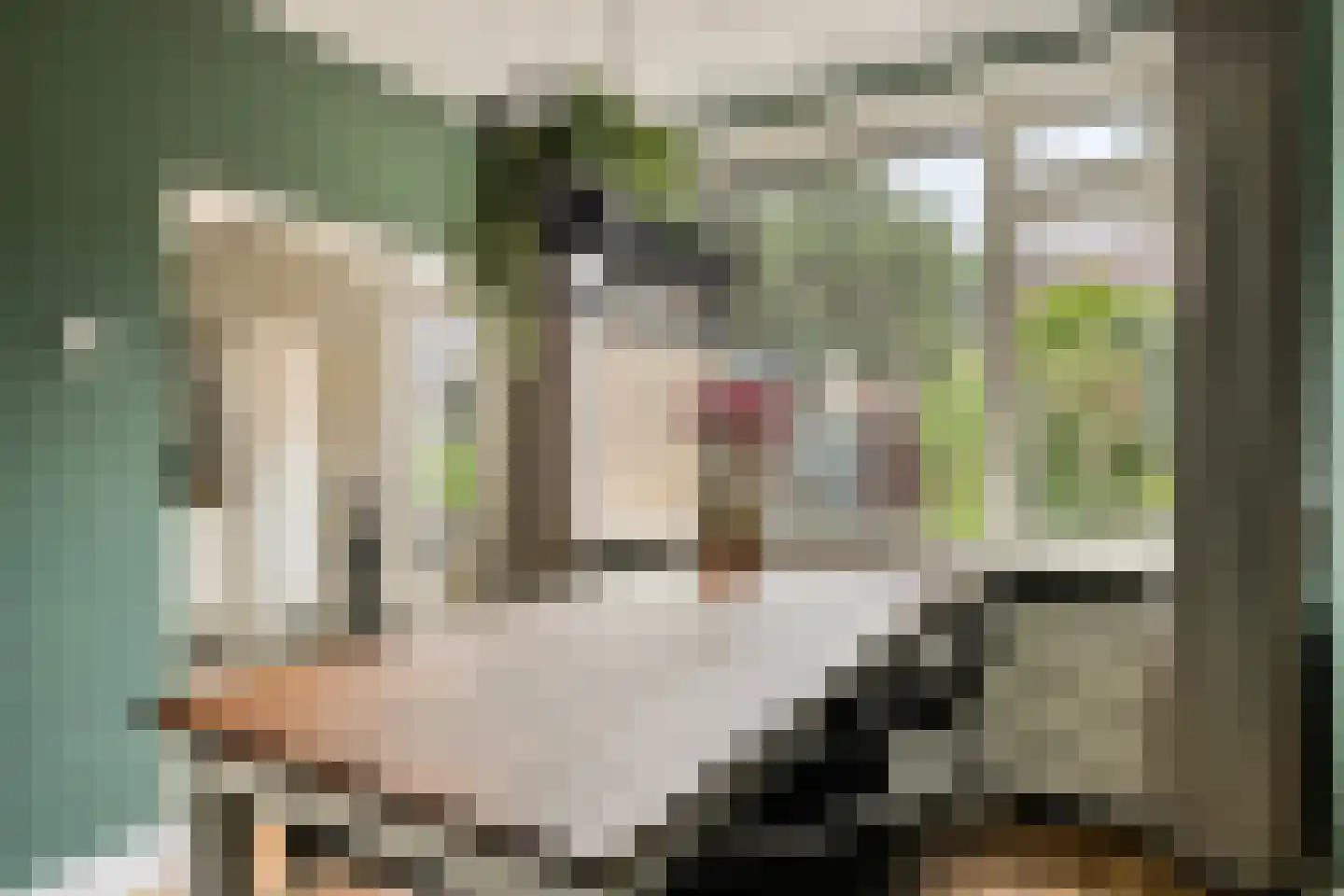 Eikelkamp 30 Epe thumbnail 12