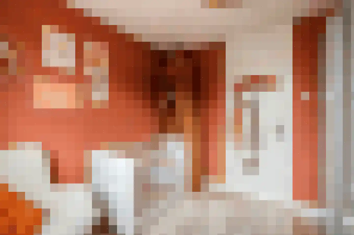 Eikelkamp 30 Epe thumbnail 24