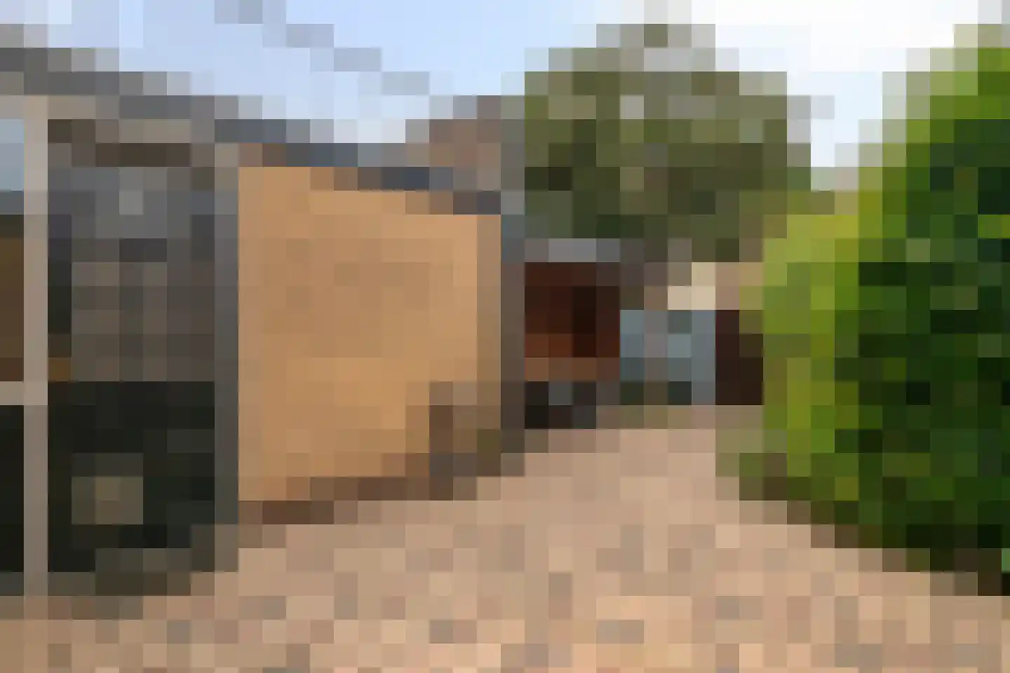 Eikelkamp 30 Epe thumbnail 33