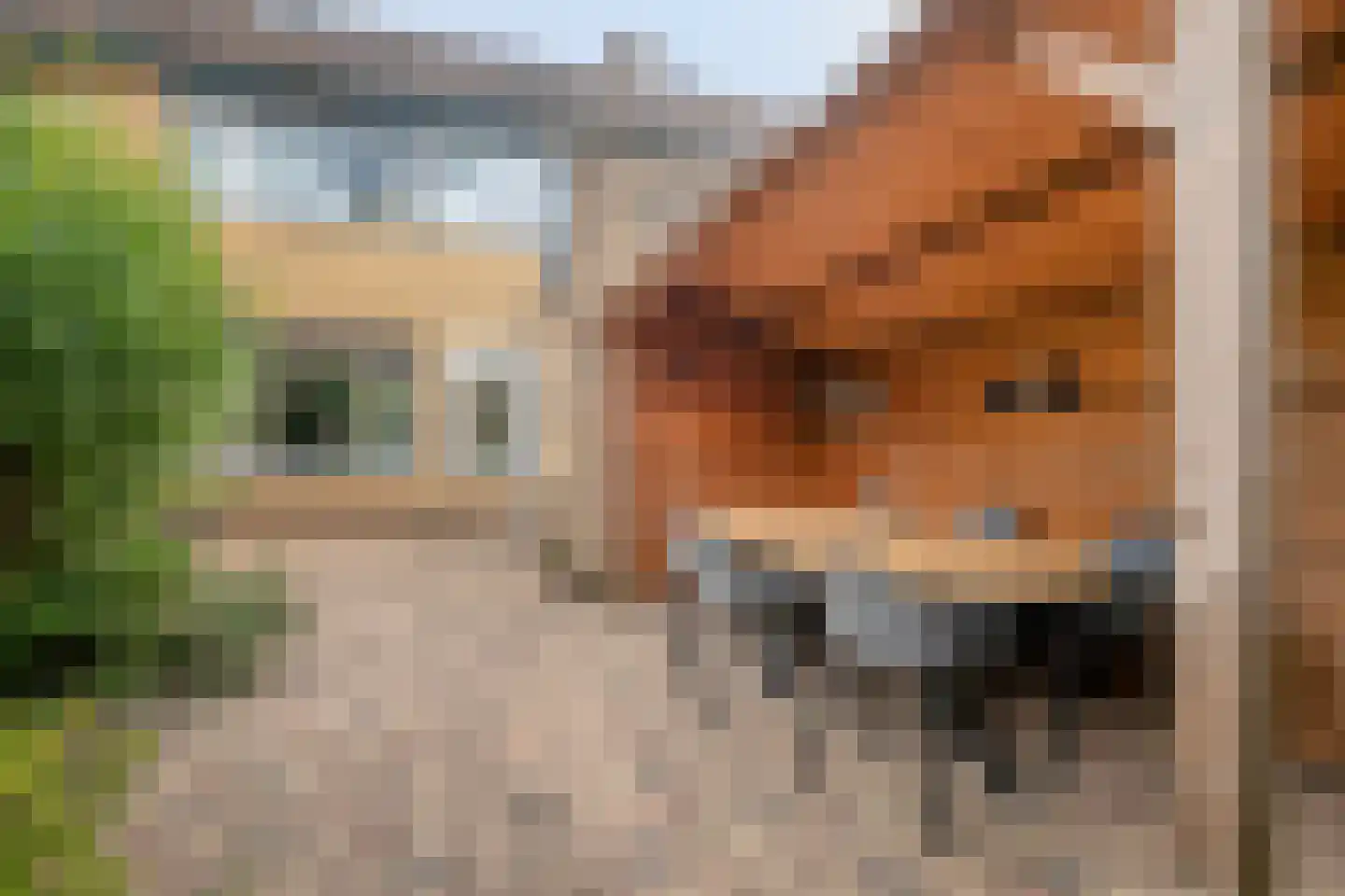 Eikelkamp 30 Epe thumbnail 34