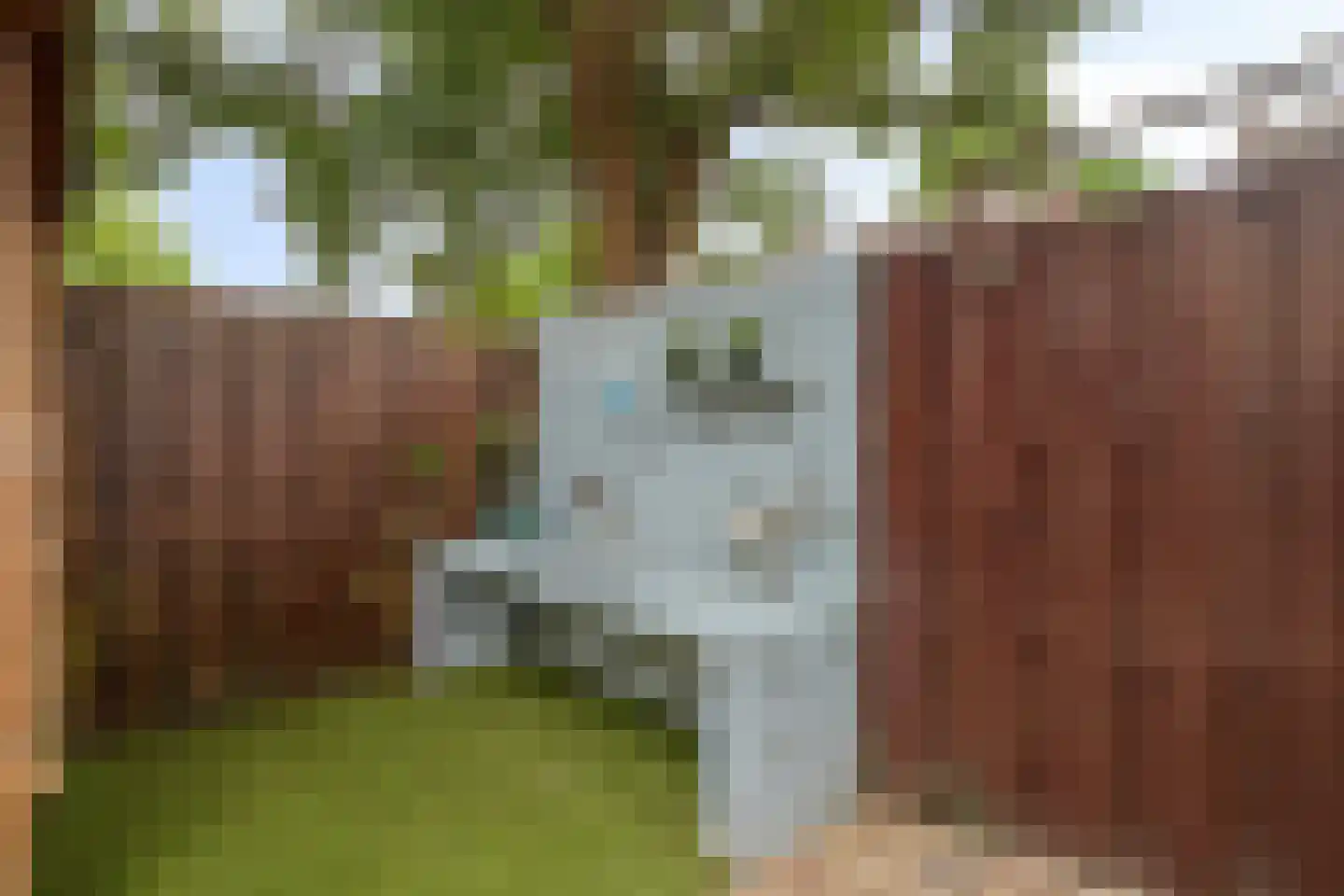 Eikelkamp 30 Epe thumbnail 35