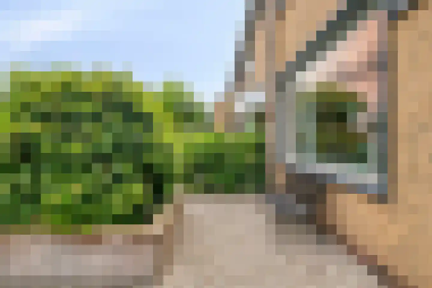 Eikelkamp 30 Epe thumbnail 40