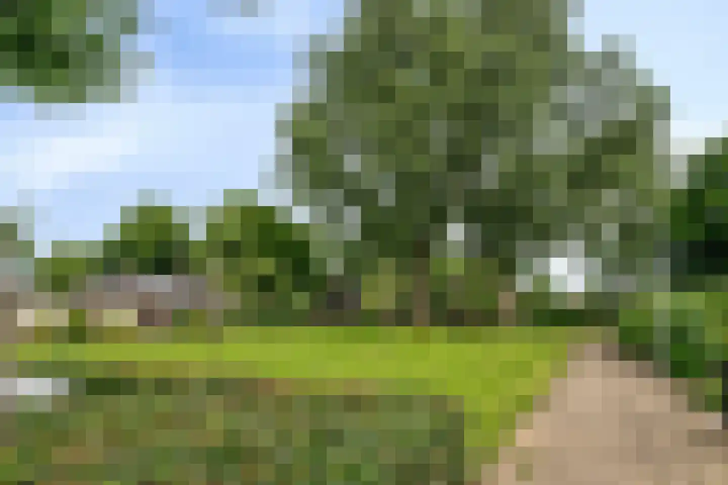 Eikelkamp 30 Epe thumbnail 41